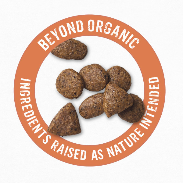 Purina® Beyond Organic Grain Free Chicken, Egg, and Sweet Potato Dry