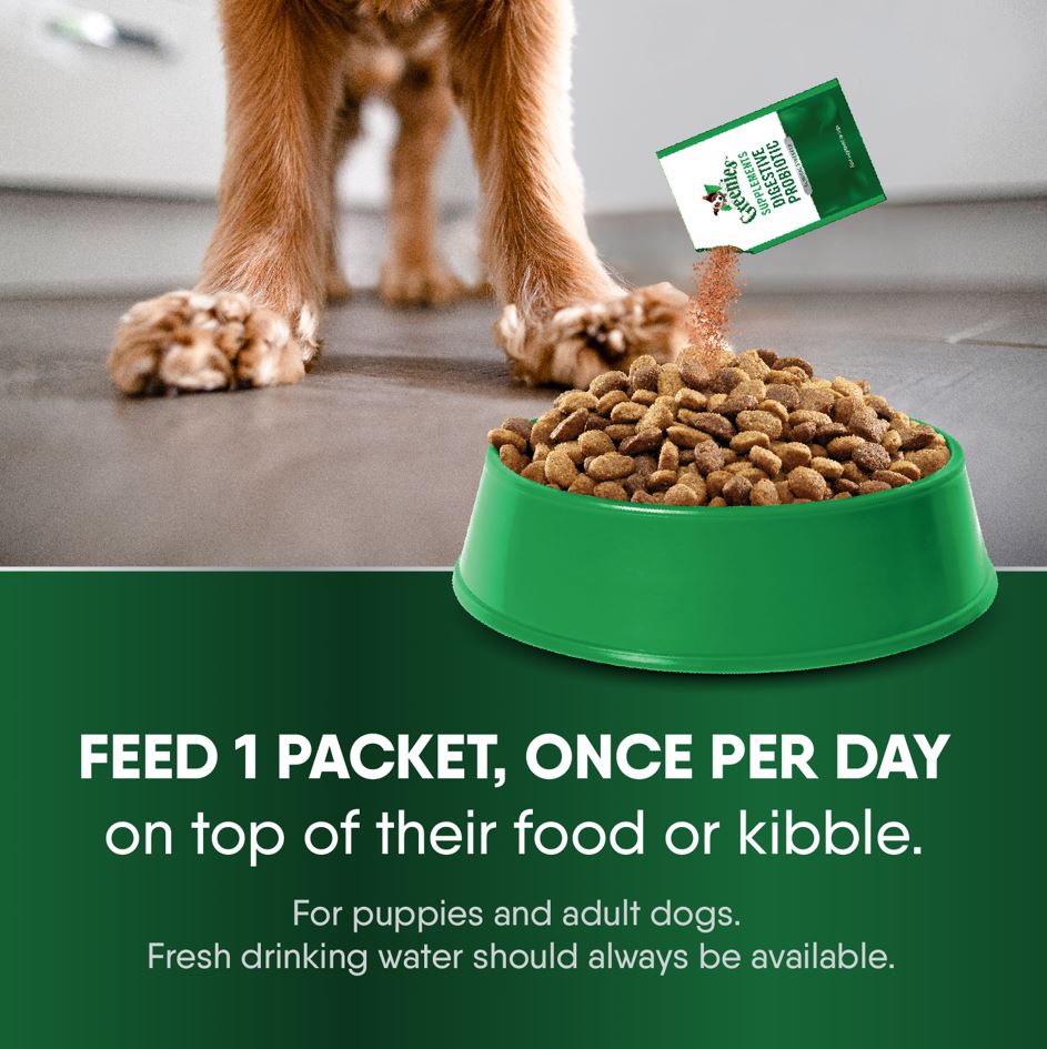 Greenies Digestive Probiotic Supplement Powder For Dogs 1 05 oz Box 