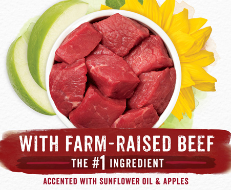 purina beneful select 10