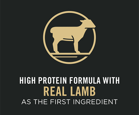 purina pro plan sensitive skin and stomach lamb and oatmeal reviews