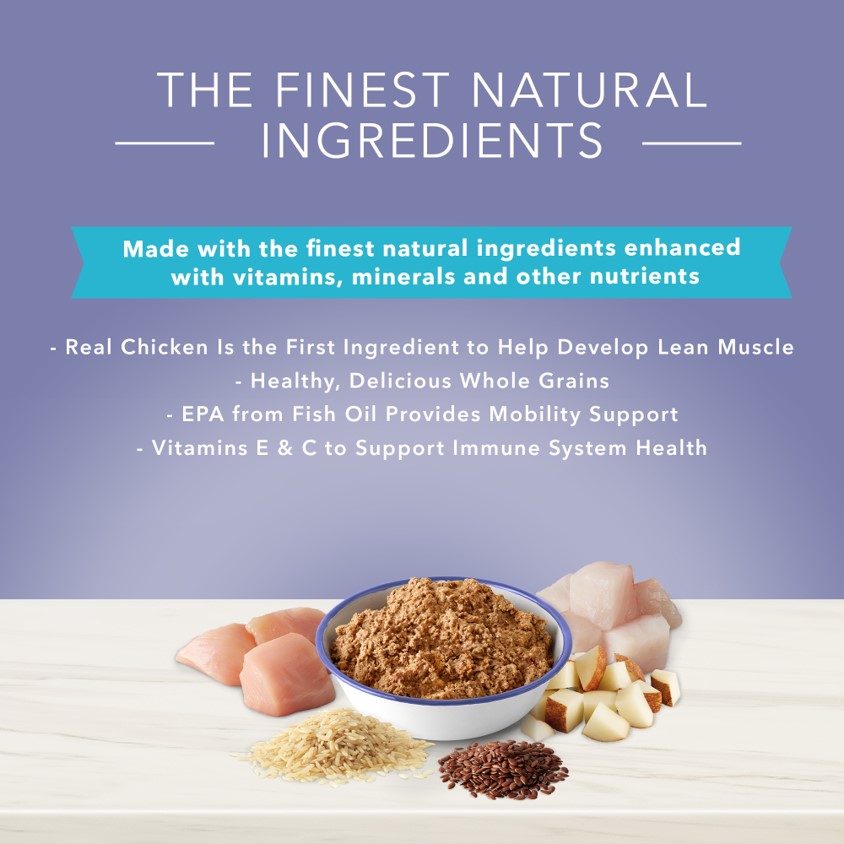 Blue Buffalo True Solutions Jolly Joints Mobility Support Adult Wet Dog