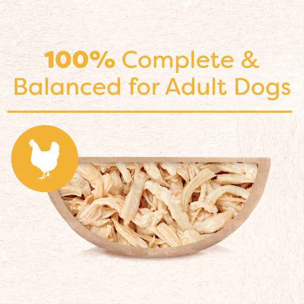 Cesar Wholesome Bowls Chicken Recipe Wet Dog Food, 3oz tray Free